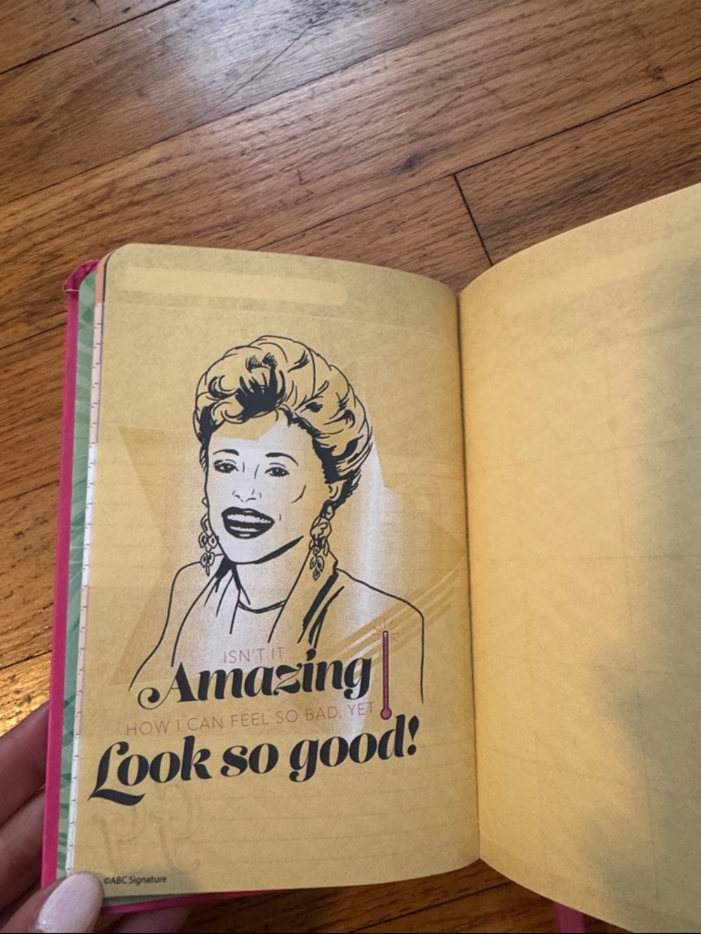 NWT! Golden Girls Pink Notebook & Tropical Notepad Set - Picture 4 of 6